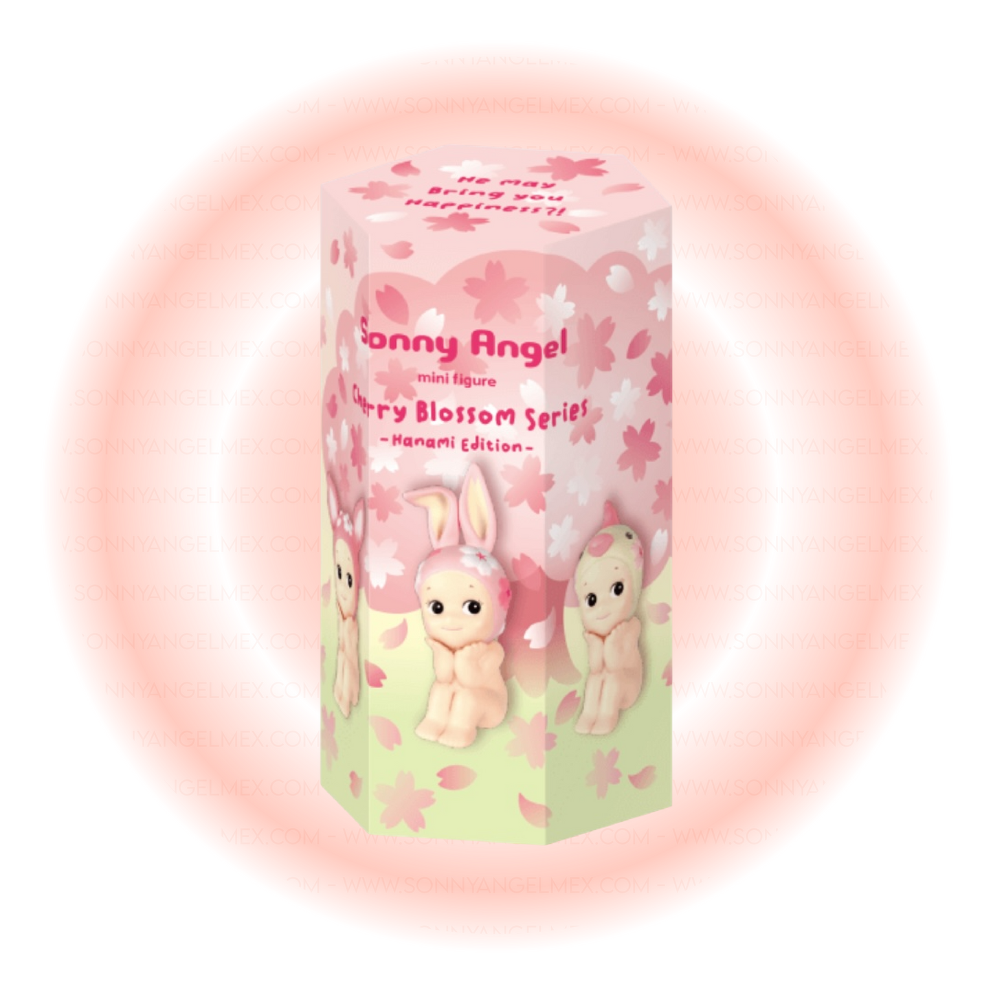 Cherry Blossom Series - Hanami Edition
