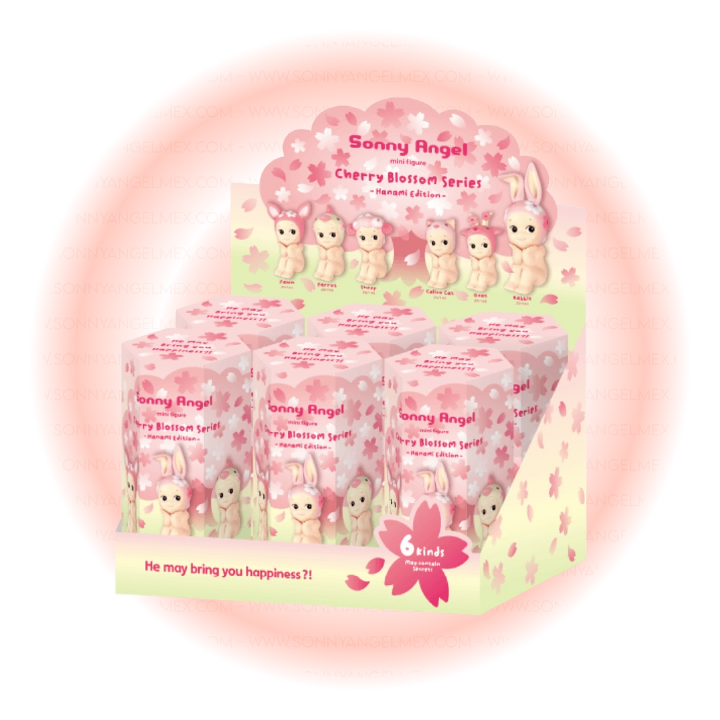 Cherry Blossom Series - Hanami Edition